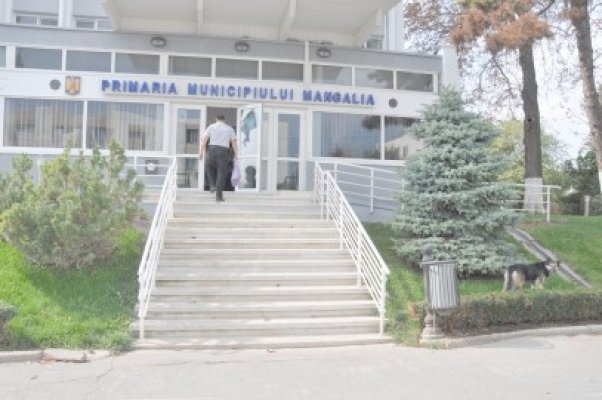 Problema câinilor la Mangalia: se face un adăpost şi se vor încuraja adopţiile